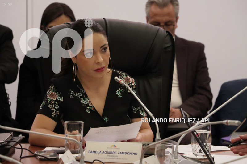 PRESIDENTE-JUDICATURA-FISCALIZACION