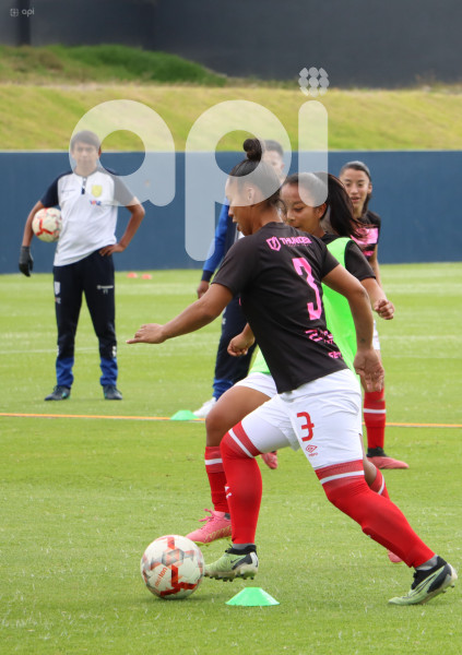 FBL-SUPERLIGA-FEMENINA-DRAGONAS-IDV-LEONES-NORTE