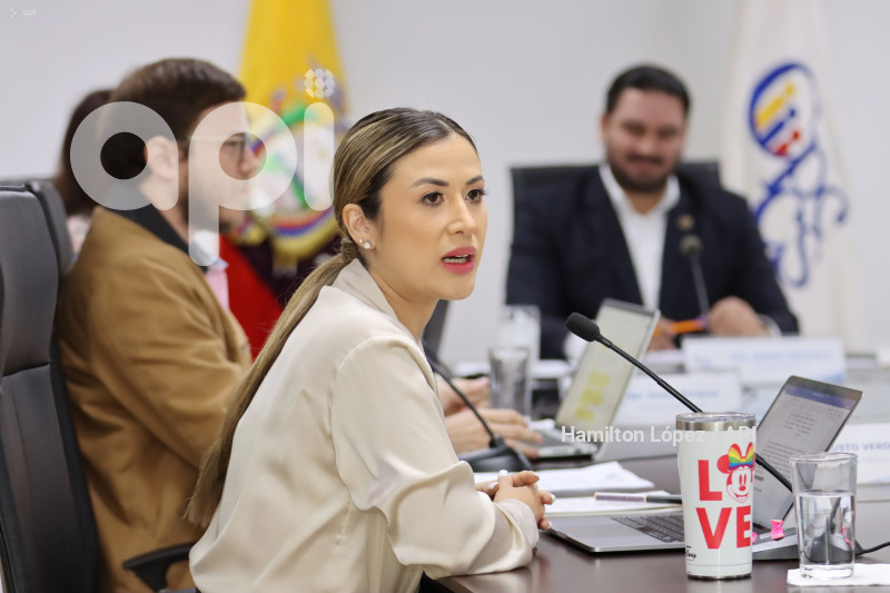 UIO-CPCCS-ELECCIÓN-VICEPRESIDENCIA