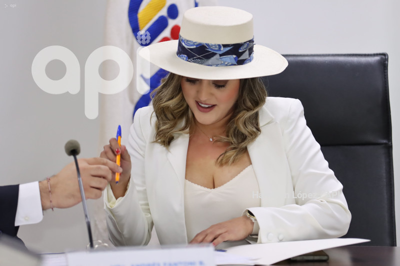 UIO-CPCCS-ELECCIÓN-VICEPRESIDENCIA