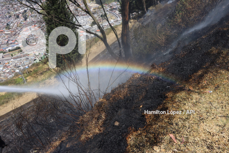 UIO-INCENDIO-CIMA-LIBERTAD