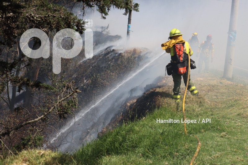 UIO-INCENDIO-CIMA-LIBERTAD