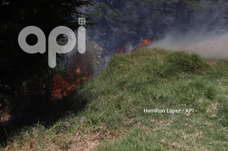 UIO-INCENDIO-CIMA-LIBERTAD