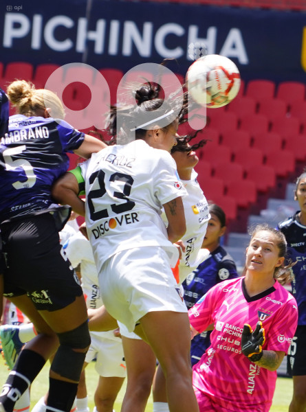 FBL SUPERLIGA FEMENINA LIGA DRAGONAS