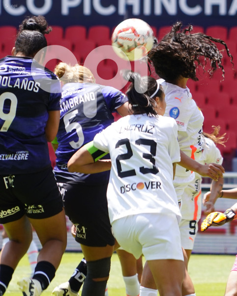 FBL SUPERLIGA FEMENINA LIGA DRAGONAS