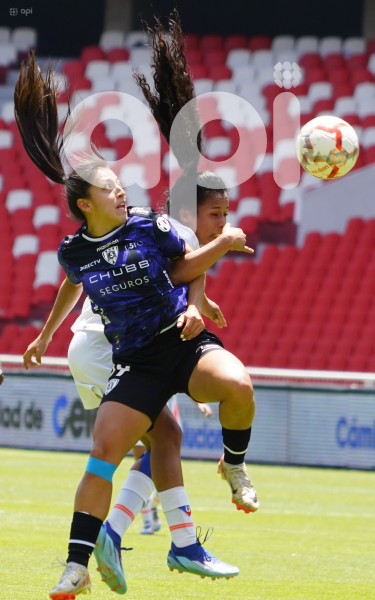 FBL SUPERLIGA FEMENINA LIGA DRAGONAS