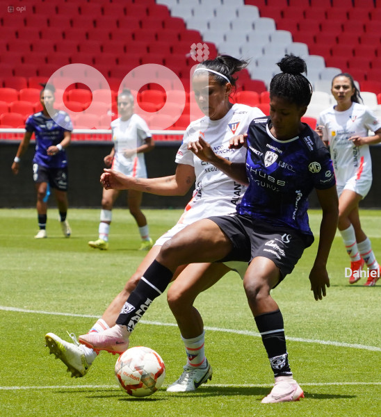 FBL SUPERLIGA FEMENINA LIGA DRAGONAS