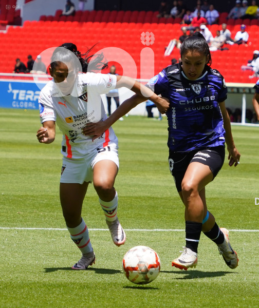 FBL SUPERLIGA FEMENINA LIGA DRAGONAS
