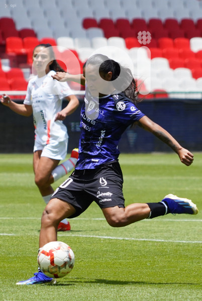 FBL SUPERLIGA FEMENINA LIGA DRAGONAS