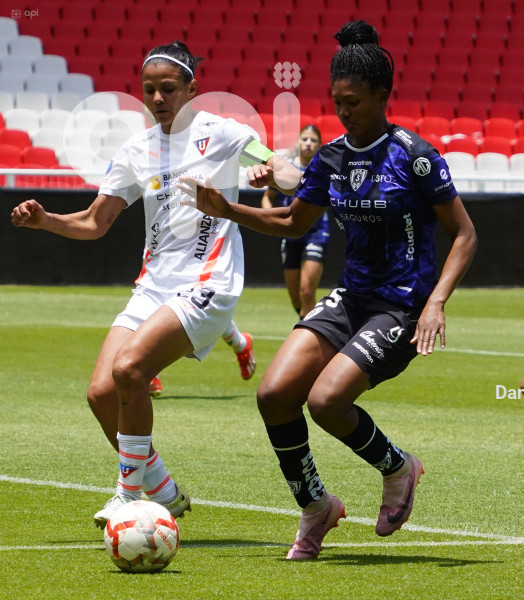 FBL SUPERLIGA FEMENINA LIGA DRAGONAS