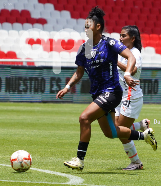 FBL SUPERLIGA FEMENINA LIGA DRAGONAS