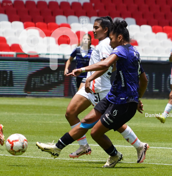 FBL SUPERLIGA FEMENINA LIGA DRAGONAS