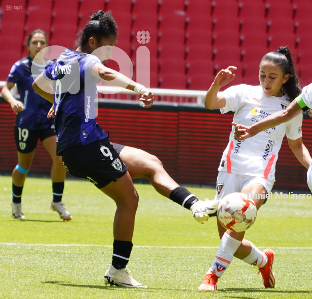 FBL SUPERLIGA FEMENINA LIGA DRAGONAS