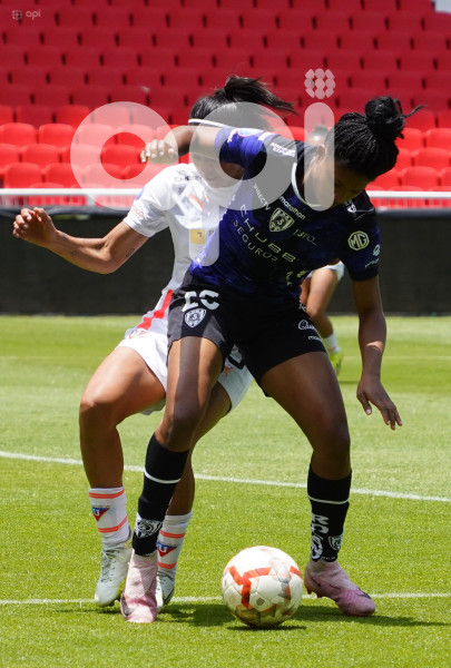FBL SUPERLIGA FEMENINA LIGA DRAGONAS