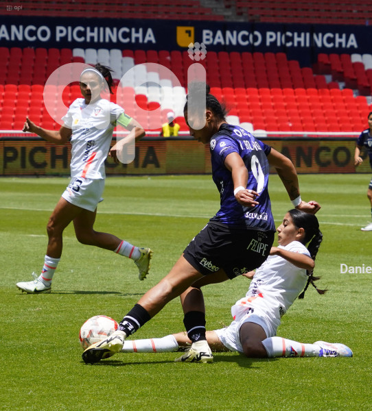 FBL SUPERLIGA FEMENINA LIGA DRAGONAS