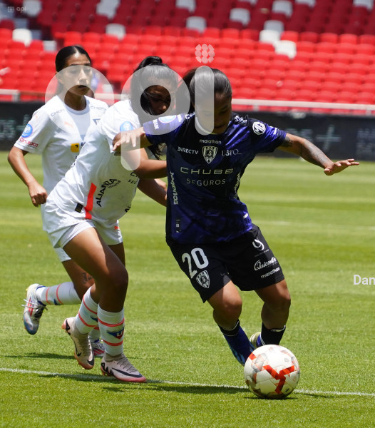 FBL SUPERLIGA FEMENINA LIGA DRAGONAS