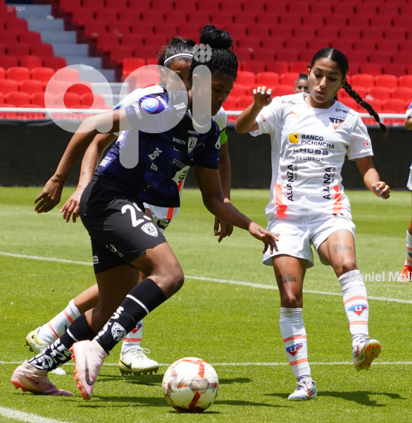 FBL SUPERLIGA FEMENINA LIGA DRAGONAS