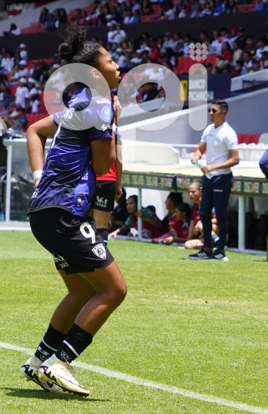 FBL SUPERLIGA FEMENINA LIGA DRAGONAS