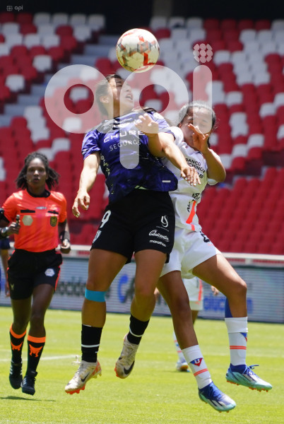 FBL SUPERLIGA FEMENINA LIGA DRAGONAS