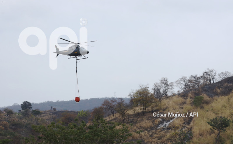 GYE-FAE MITIGA FUEGO FORESTAL