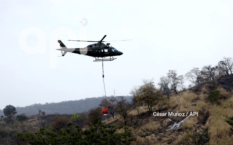 GYE-FAE MITIGA FUEGO FORESTAL