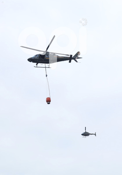 GYE-FAE MITIGA FUEGO FORESTAL