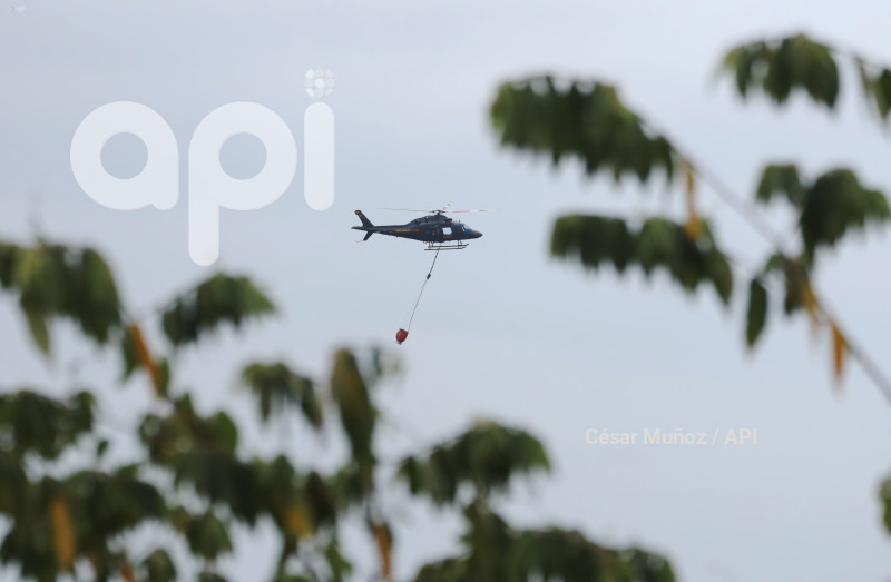 GYE-FAE MITIGA FUEGO FORESTAL