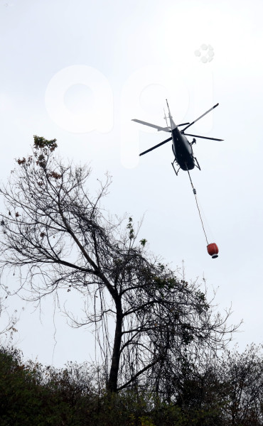GYE-FAE MITIGA FUEGO FORESTAL