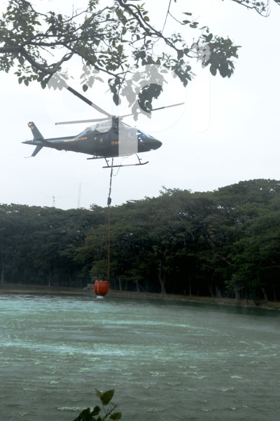 GYE-FAE MITIGA FUEGO FORESTAL