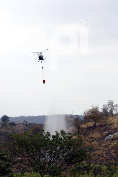 GYE-FAE MITIGA FUEGO FORESTAL