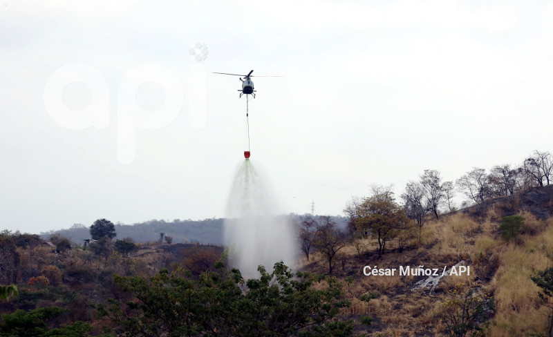 GYE-FAE MITIGA FUEGO FORESTAL