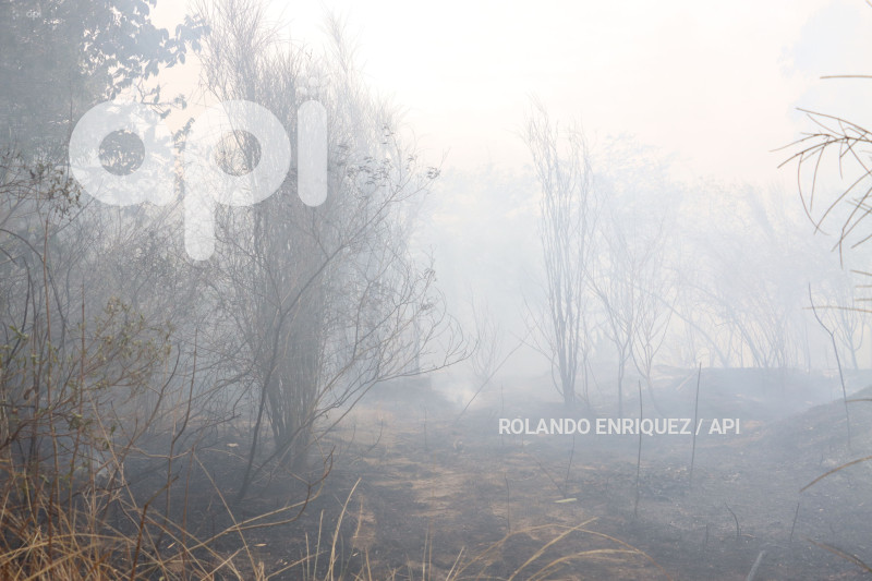 INCENDIO-VALLE-NAYON