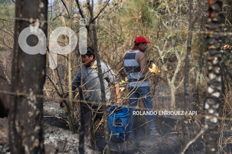 INCENDIO-VALLE-NAYON