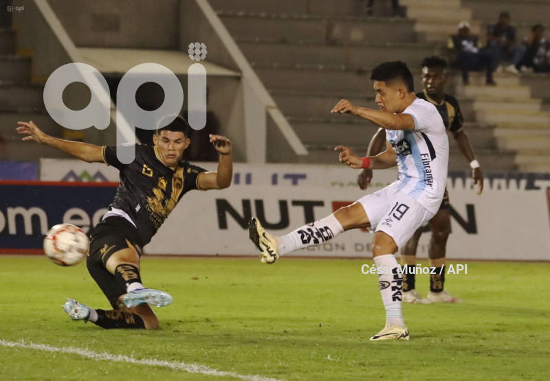 FBL-COPA ECUADOR- GUAYAQUIL-DELFIN