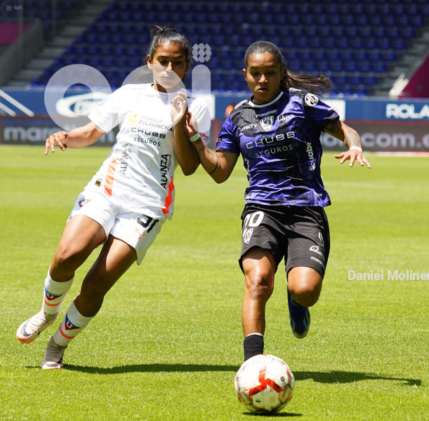 FBL SUPERLIGA FEMENINA DRAGONAS LIGA