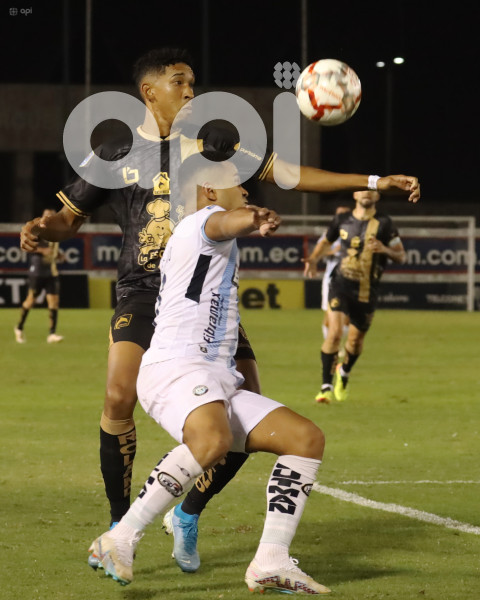 FBL-COPA ECUADOR- GUAYAQUIL-DELFIN