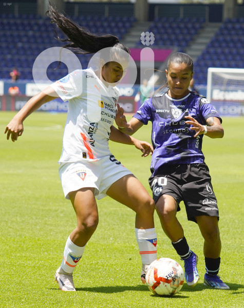 FBL SUPERLIGA FEMENINA DRAGONAS LIGA
