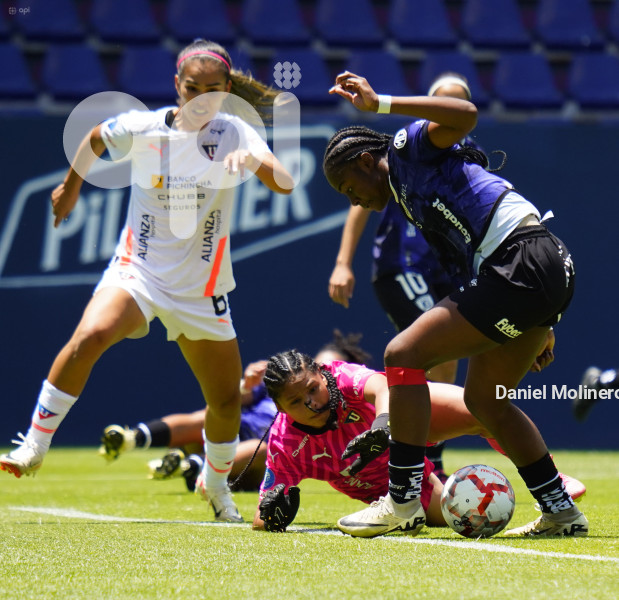FBL SUPERLIGA FEMENINA DRAGONAS LIGA
