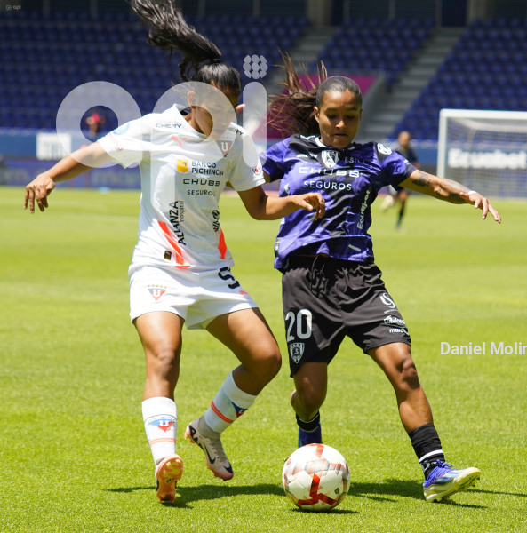 FBL SUPERLIGA FEMENINA DRAGONAS LIGA