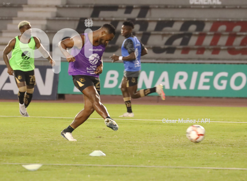 FBL-COPA ECUADOR- GUAYAQUIL-DELFIN