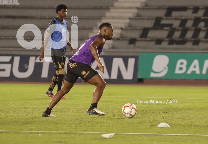 FBL-COPA ECUADOR- GUAYAQUIL-DELFIN
