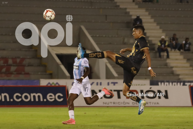 FBL-COPA ECUADOR- GUAYAQUIL-DELFIN