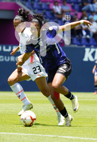 FBL SUPERLIGA FEMENINA DRAGONAS LIGA
