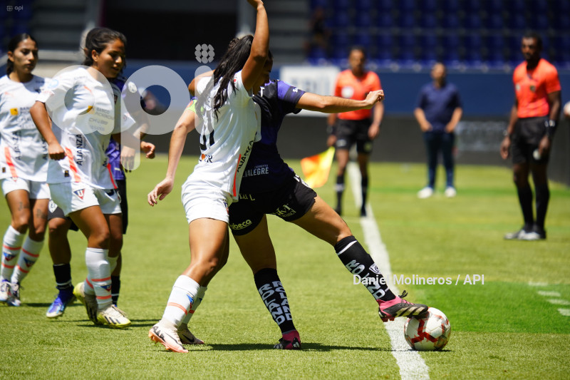 FBL SUPERLIGA FEMENINA DRAGONAS LIGA