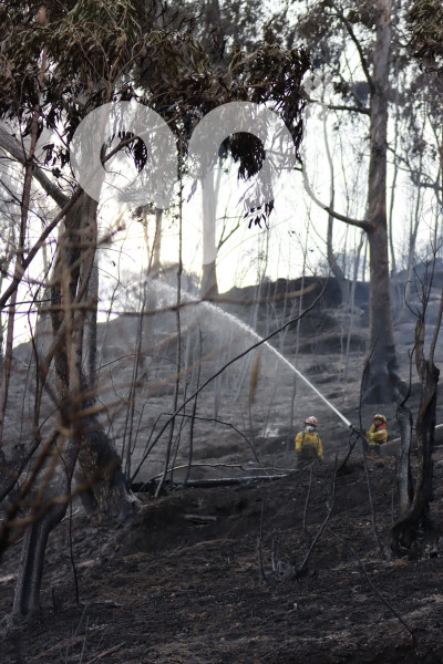UIO-INCENDIO-PANECILLO
