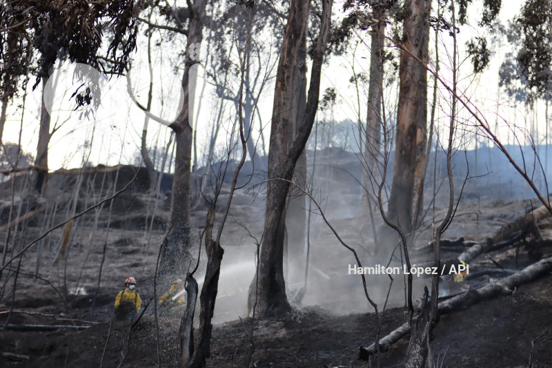 UIO-INCENDIO-PANECILLO