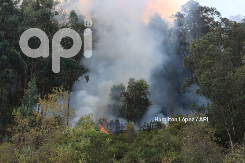 UIO-INCENDIO-PANECILLO