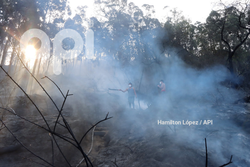 UIO-INCENDIO-PANECILLO