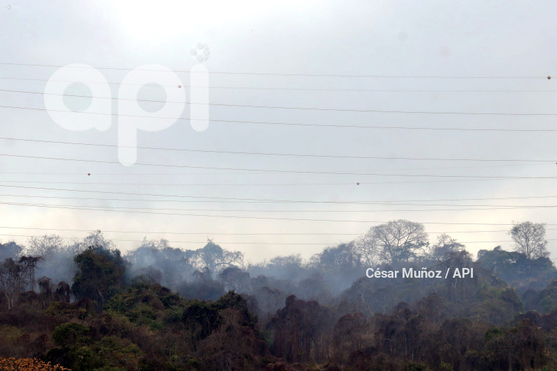 GYE-INCENDIO FORESTAL CHORRILLO