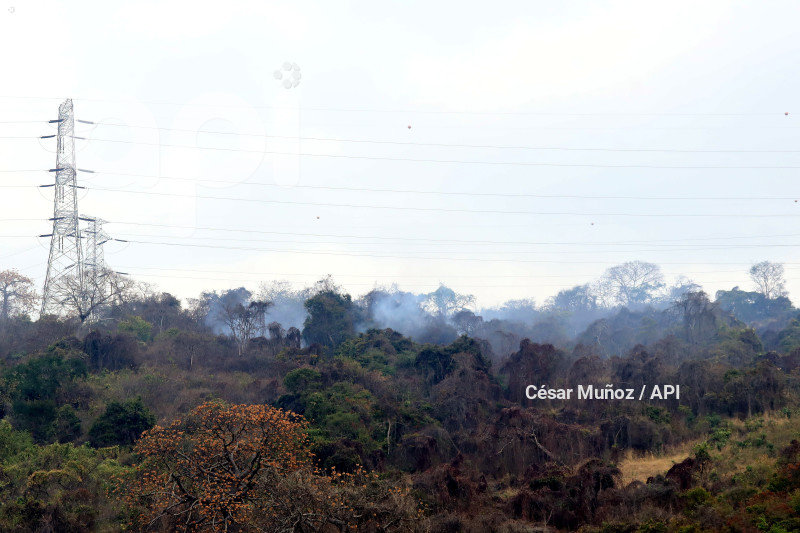 GYE-INCENDIO FORESTAL CHORRILLO